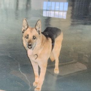 Meet your Posher, Baron